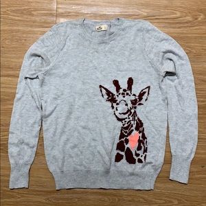Hollister Graphic Sweater